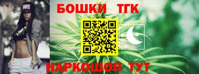 МДПВ Татарск
