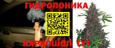 первитин Тара
