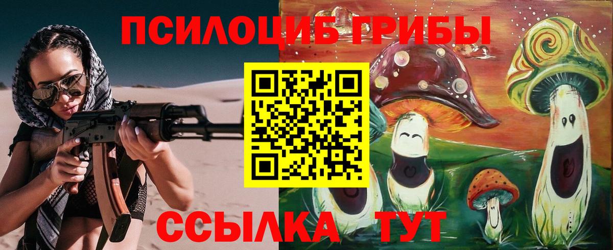 Братск  Псилоцибиновые грибы прущие грибы  Галлюциногенные грибы Psilocybine cubensis  Вход с VPN 